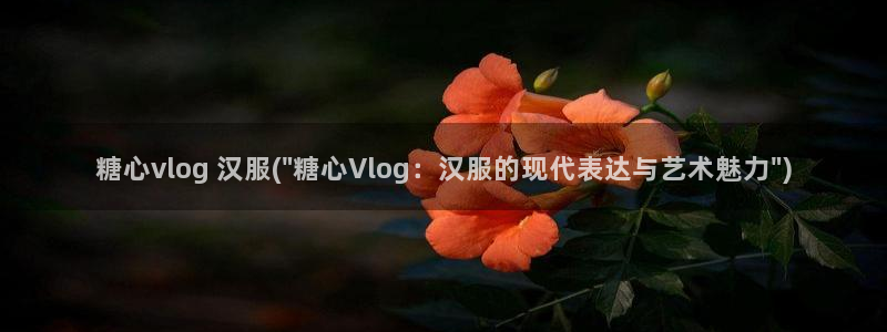 糖心vlog纸砚
