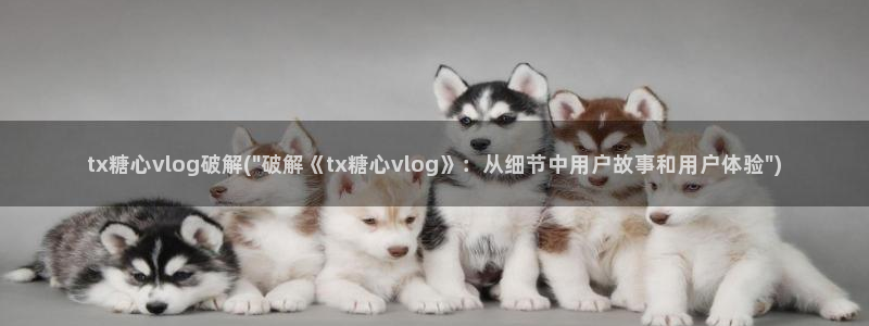 糖心vlog安装不了