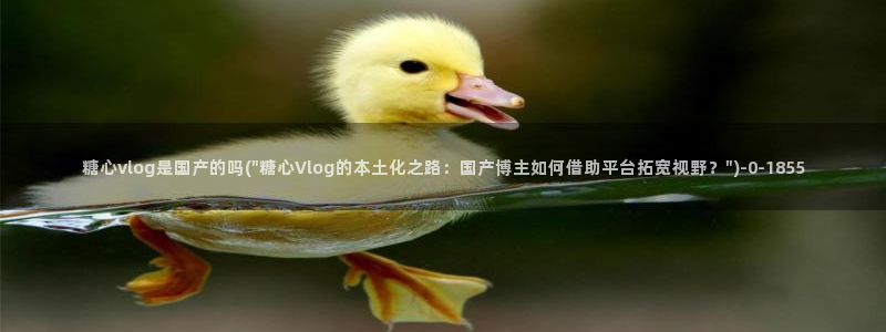 糖心vlog夫妻