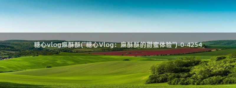 糖心vlog金善雅排名