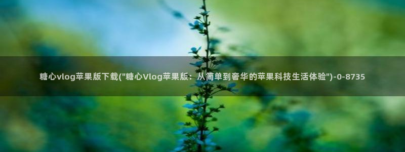 糖心vlog表情包