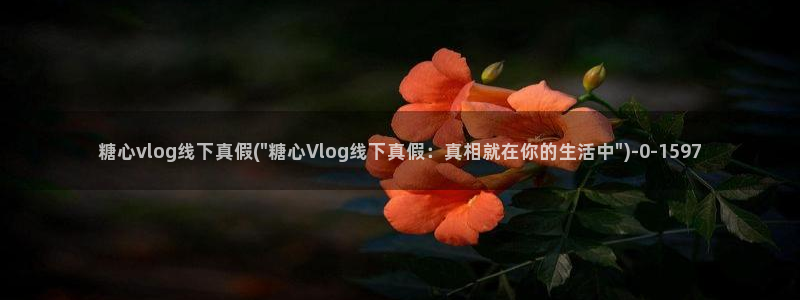 糖心vlog琦琦：糖心vlog线下真假(\