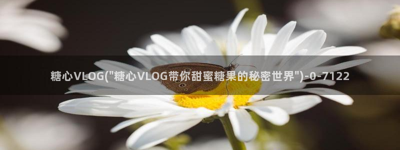 糖心vlog下载方法：糖心VLOG(\