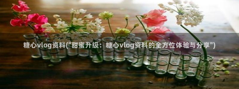 糖心vlog传媒公司：糖心vlog资料(\