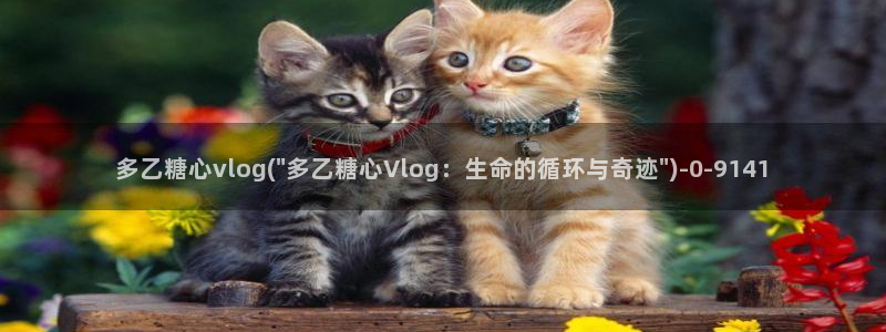 糖心vlog主播介绍：多乙糖心vlog(\