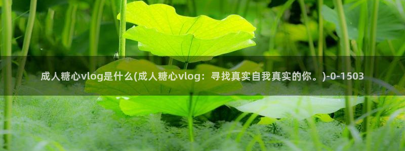 糖心vlog叶子：成人糖心vlog是什么(成人糖心vlog：寻找真实自我真实的你。)