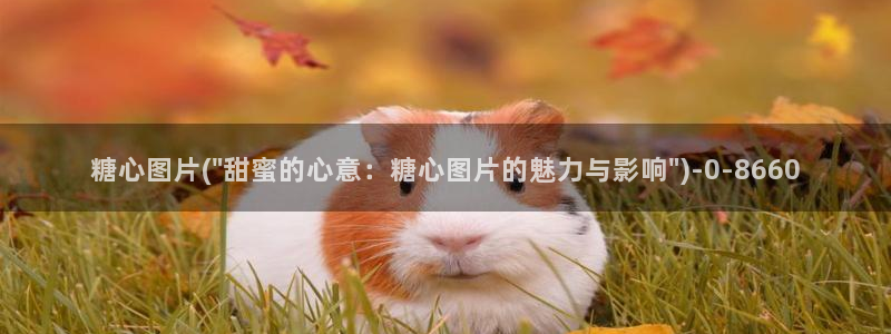 糖心vlog免费版官网