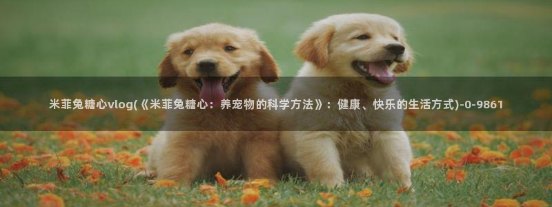 糖心视频vlog原神
