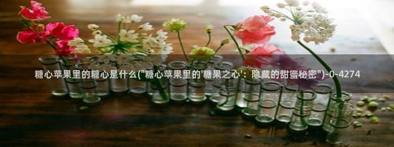 糖心vlog现在观看