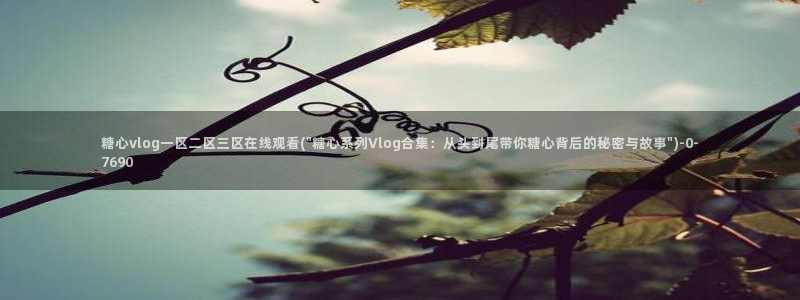 糖心vlog免费账号