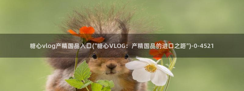 网站糖心vlog