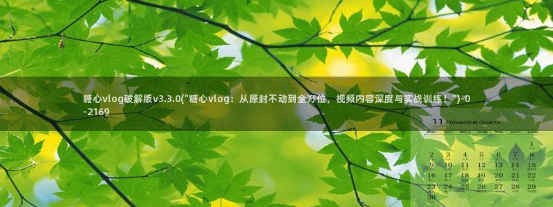 糖心vlog破