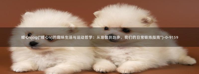 糖心vlog最新一集