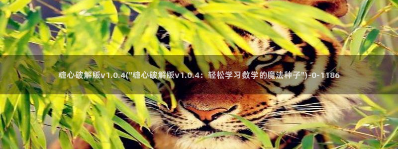 糖心vlog淑怡