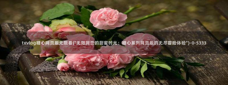 糖心vlog免费破解
