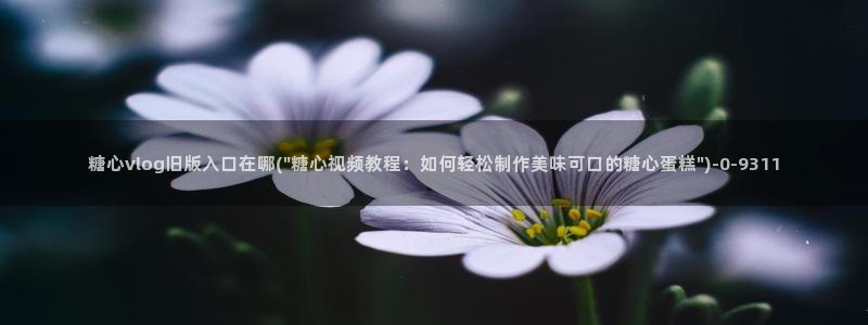 糖心vlog冉