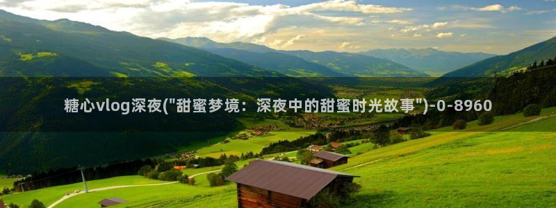 糖心vlog网站观看