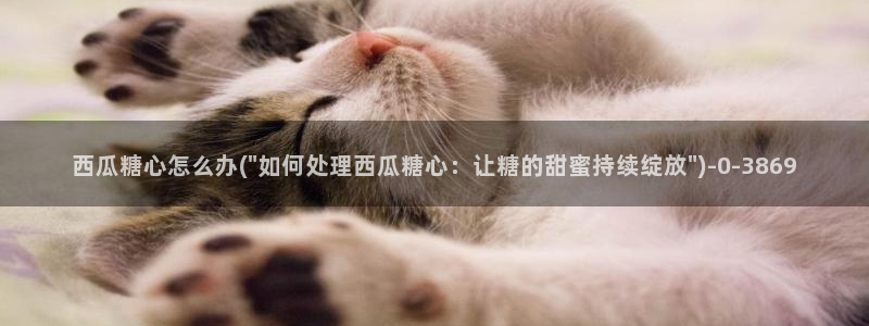 糖心vlog在线观