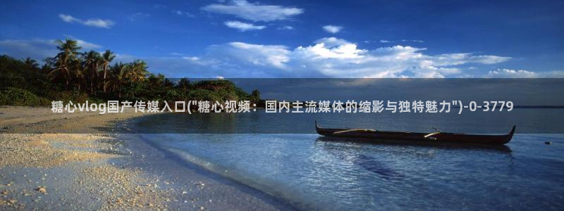 糖心vlog入口官网