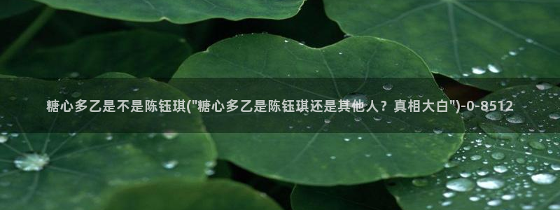 心糖vlog破解版入口