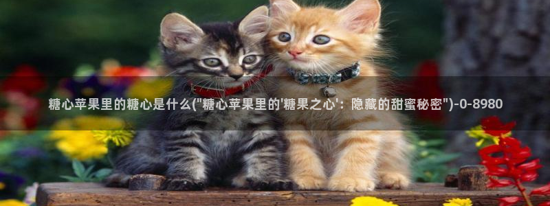 糖心vlog精产
