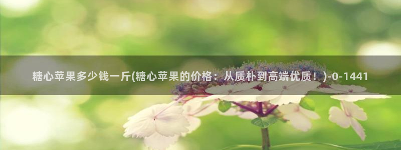 糖心vlog网站观看